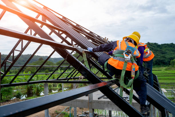 Best Shingle Roofing Installation  in Rushville, NE