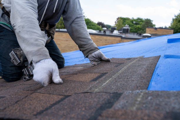 Best Metal Roofing Contractor  in Rushville, NE
