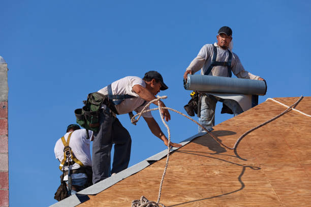 Best Emergency Roof Repair  in Rushville, NE
