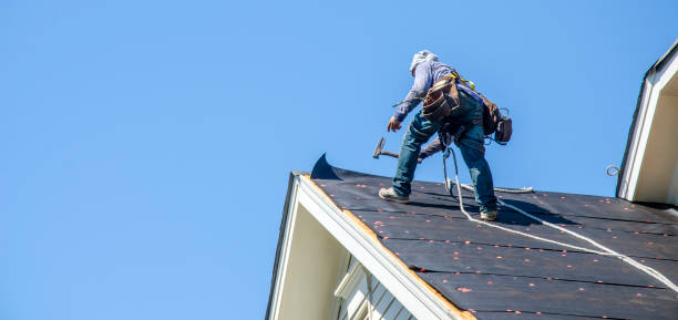 Best Roof Leak Repair  in Rushville, NE